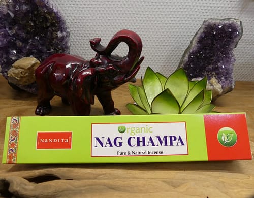 Encens Nandita Nag Shampa Organic chez Secrets du Monde à Saint-Malo